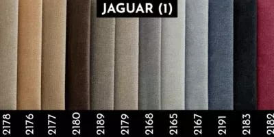 jaguar1-1024x372
